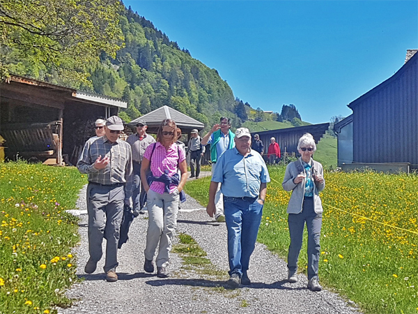 Unsere kulinarische Wanderung bei schönstem Wetter